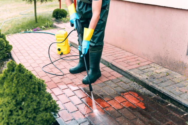 Best Local Pressure Washing Services  in Lynnwood, WA