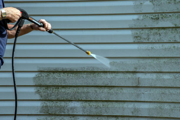 Best Roof Pressure Washing  in Lynnwood, WA