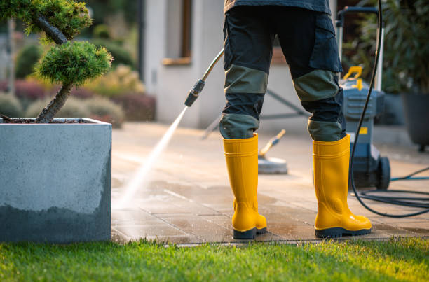 Best Power Washing Near Me  in Lynnwood, WA